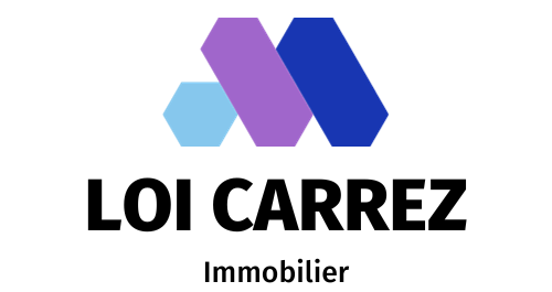 logo loi carrez